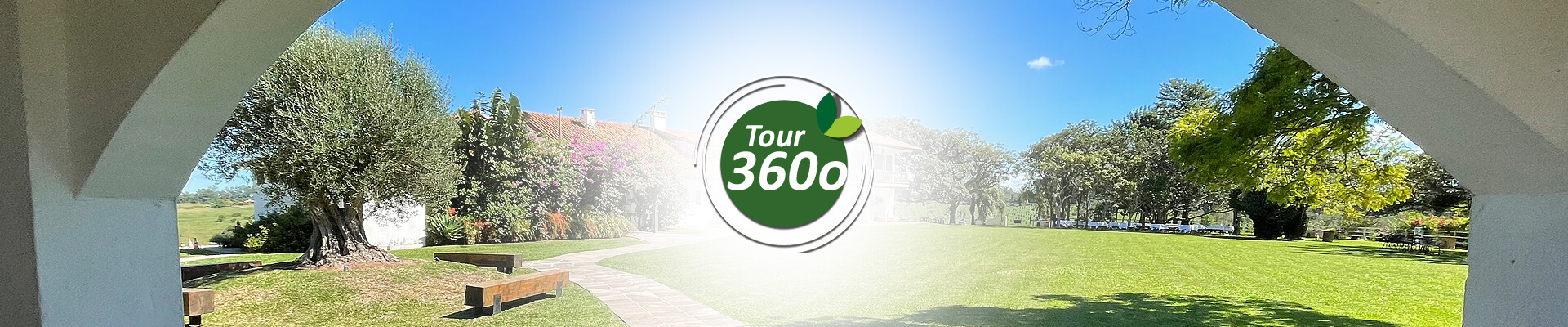 Tour 360